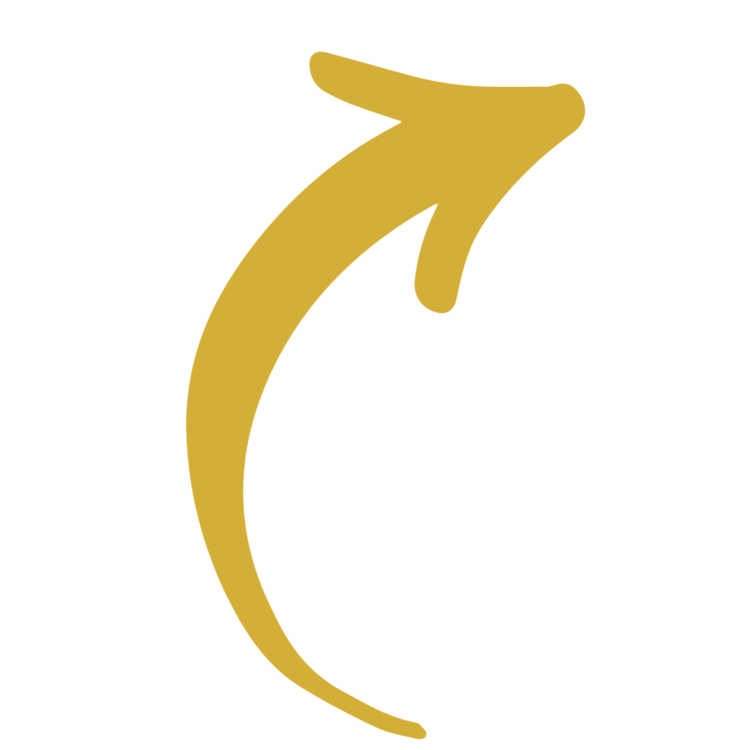 Flechette